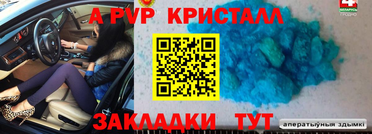 A PVP крисы CK  как найти   Лениногорск  Вход с VPN  Alpha-PVP 