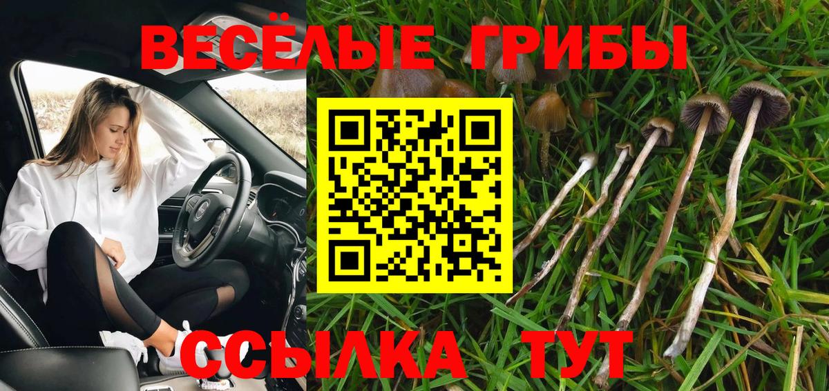 Лениногорск  Псилоцибиновые грибы мухоморы  Вход с VPN 